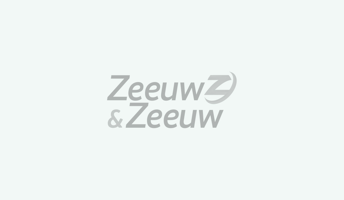 Zeeuw & Zeeuw