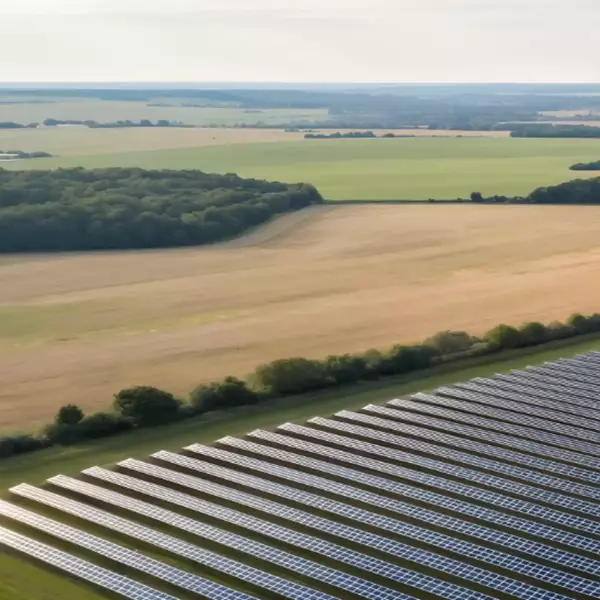 Solar field